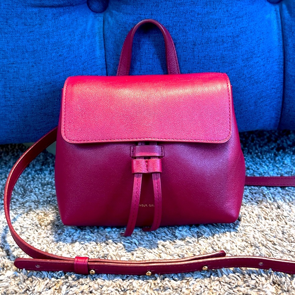 Mansur Gavriel soft Mini Lady Bag